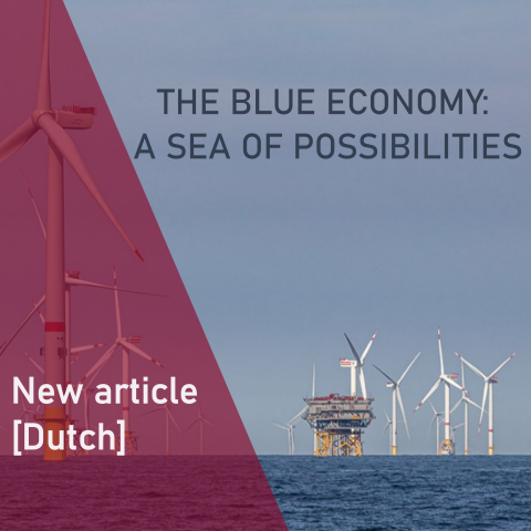 De blauwe economie: een zee van mogelijkheden